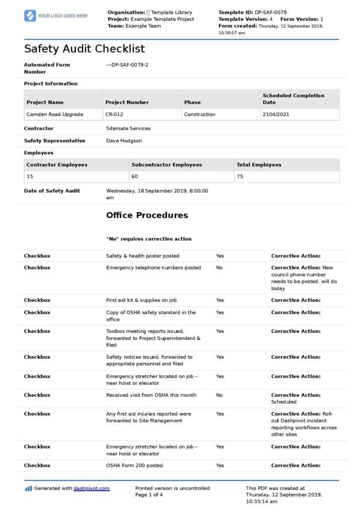 Comprehensive Safety Audit